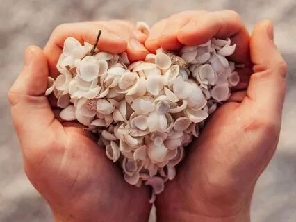 A Short Daily Metta Practice