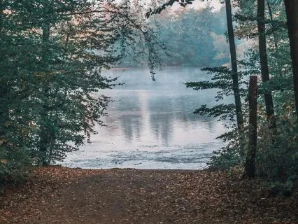 A Short Deep Rest (NSDR Inspired)