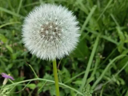 A Short Gratitude Practice