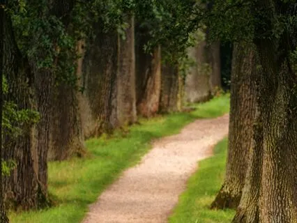 A Short Gratitude Practice