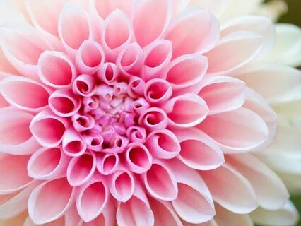 A Short Look At How The Spiritual Journey Works