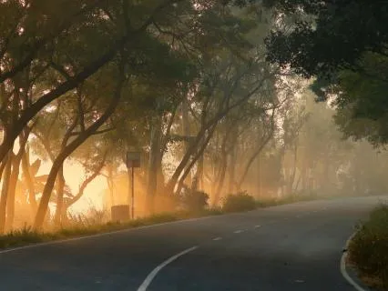 A Short Meditation As You Begin Your Drive To Work