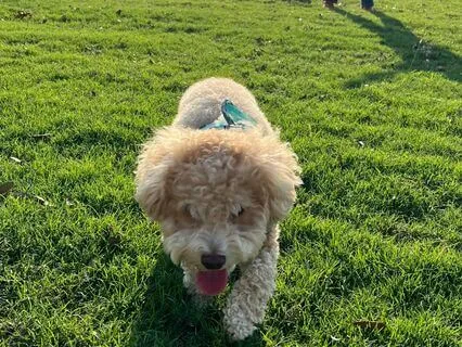 15 Minute Meditation For Confidence Building