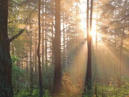 A Short Meditation From Working With Our Enemies