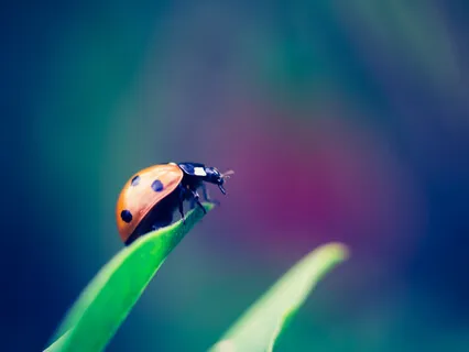 A Short Meditation on Acceptance