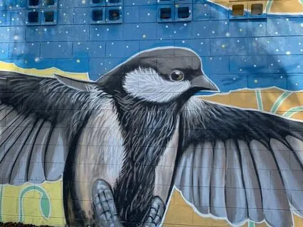 A Short Meditation On The Breath