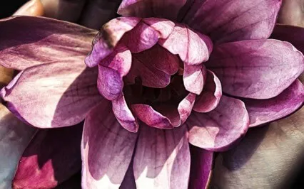 A Short Meditation On The Magic Of Your Practice