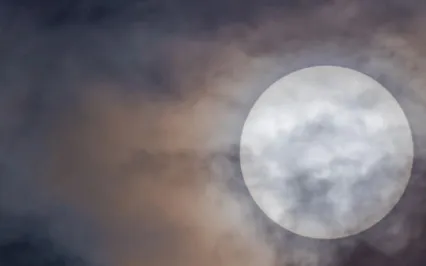 A Short Meditation On The Perfection Of Effort