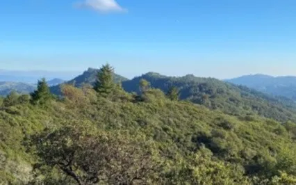 A Short Meditation On The Sacred Spaces In Law