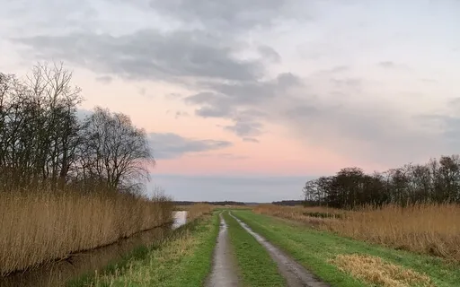 A Short Meditative Break In The Midst Of Business