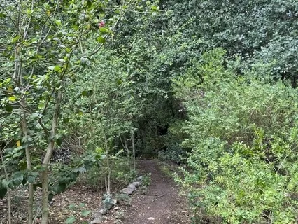 A Short Mindful Breathing Meditation