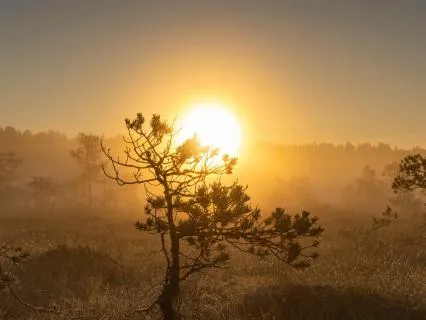 A Short Morning Motivation Meditation
