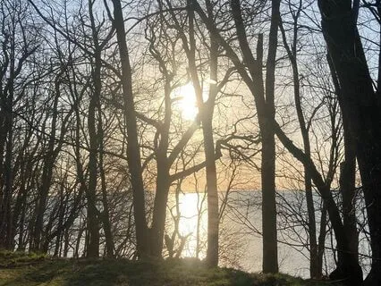 A Short Practice Of Mindfulness