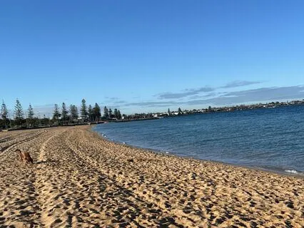 A Short Reset In Under 5 Minutes