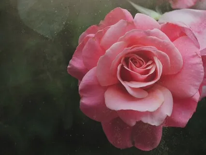 A Short Story - Poet And The Fragrant Clay