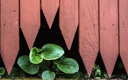 A Short Time Out To The Present - 5 Min Mindfulness Practice