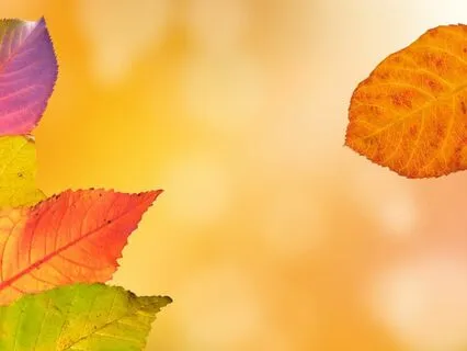 A Short Uplifting Poem For The Fall / Autumn