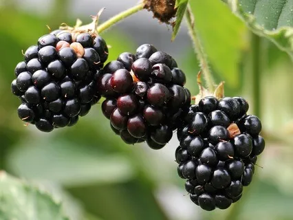 A Sign To Choose Love - September 18