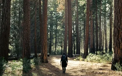 A Simple & Easy Portal Into Non-Ordinary Reality