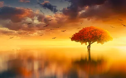 A Simple Body Awareness | Guided Meditation