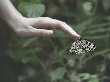 A Simple Body Scan Practice