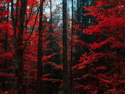 A Simple Breath Music Meditation For Focus