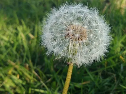 A Simple Breathing Exercise