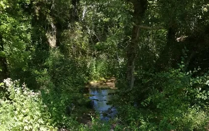 A Simple Breathing Practice To Calm An Anxious Mind