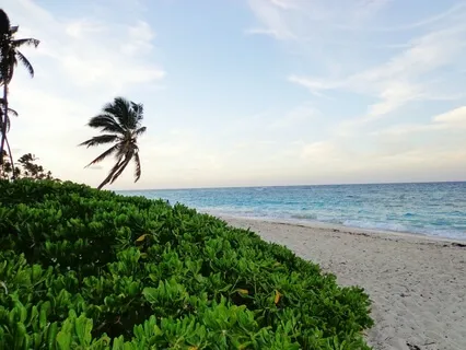 A Simple Calling To The Divine