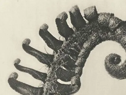 A Simple Grounding Meditation