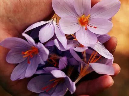 A Simple Introduction To Ayurveda