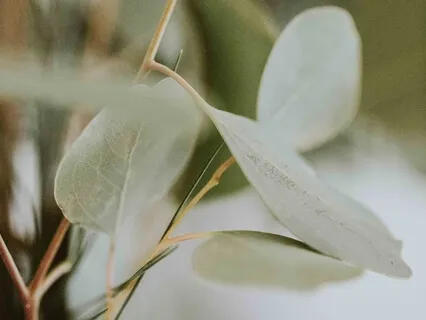 A Simple Practice For Anxiety