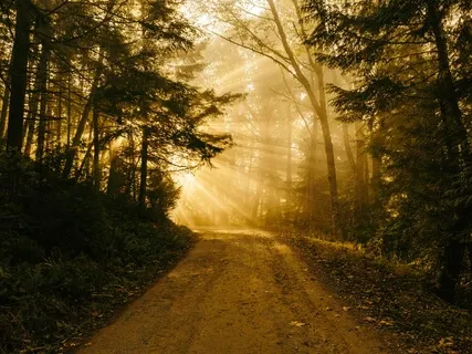 A Simple Mindfulness Meditation