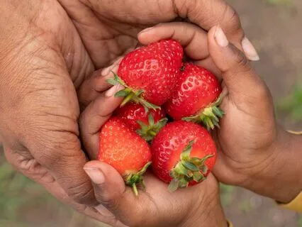 A Simple Poem Of  Gratitude To Often Overlooked Pleasures