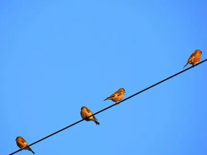 A Simple Practice - 1-2-3-4