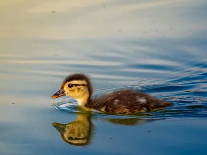 A Simple Practice - 4-7-8 Breath