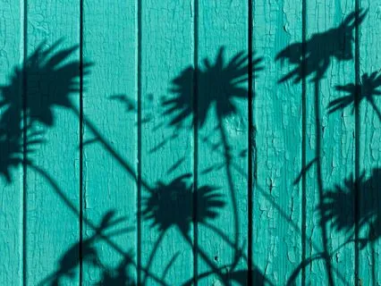 A Simple Practice - A New Friend Poem