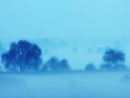 A Simple Practice - Alternate Nostril Breathing