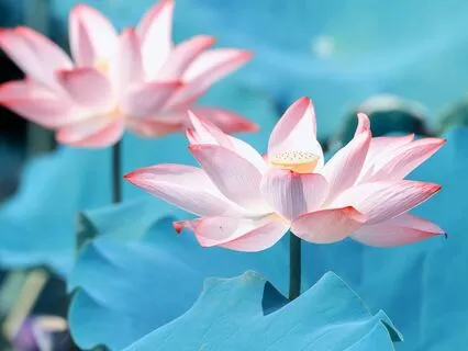 A Simple Practice - Body Squeezes