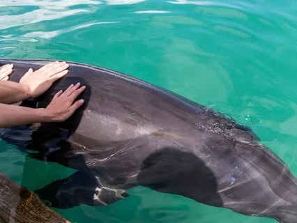 A Simple Practice - Connect To Your Senses