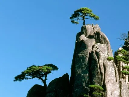 A Simple Practice - Face Acupressure Massage