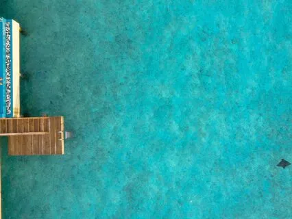 A Simple Practice - Figure Of 8