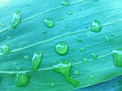 A Simple Practice - I Am Noticing