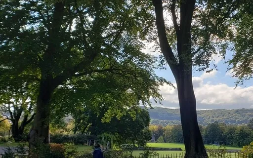 A Simple Practice- Leaves On A River