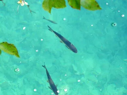 A Simple Practice - Noticing & Labelling