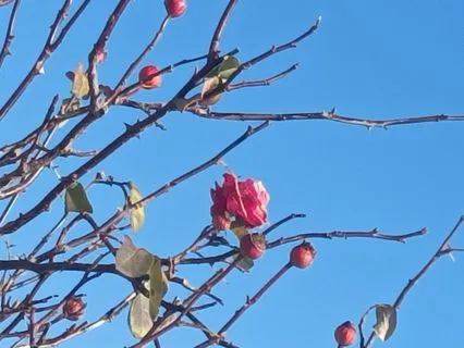 A Simple Practice - Savour The Moment