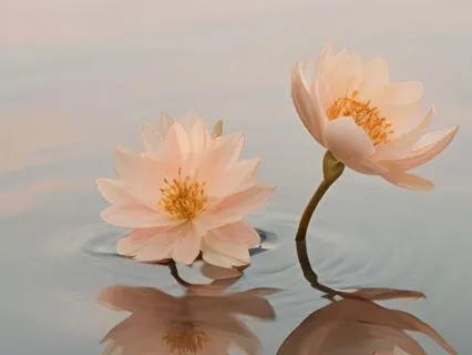 A Simple Practice To Calm Your Nervous System