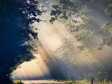 A Simple Practice To Shift From Resistance To Receiving