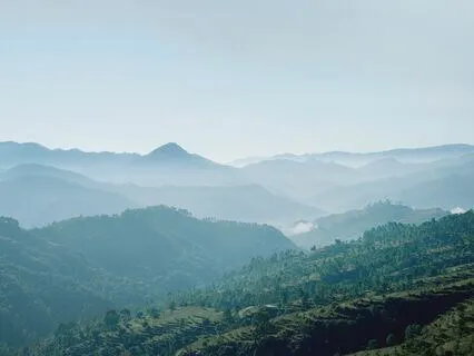 A Simple Remedy For Mental Distress