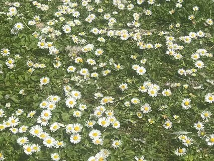 A Simple Reset For Daily Stress